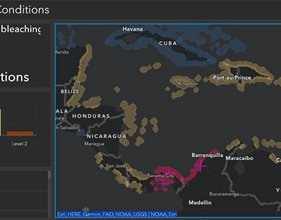 ArcGIS Online - Dashboard: Coral Bleaching Condition