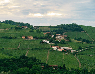 Best Things To Do In Piedmont, Italy