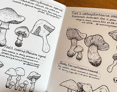 Project thumbnail - Zine - 'For the love of Mushrooms' Fungi art