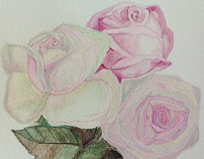 Watercolor / Vintage roses