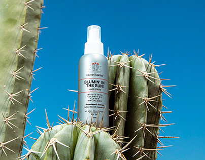 Blumin' Kaktus Branding