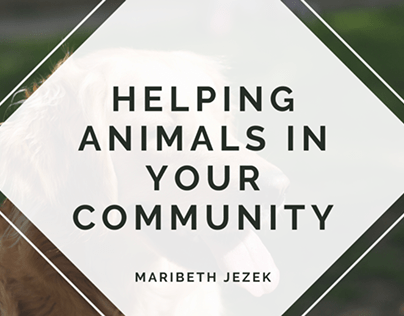Helping Animals in Your Community | Maribeth Jezek