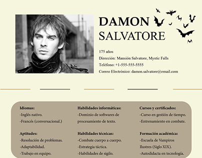 cv damon salvatore indesign