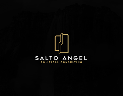 SALTO ANGEL: POLITICAL CONSULTING