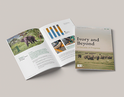 Project thumbnail - Ivory and Beyond | EPI Report Design