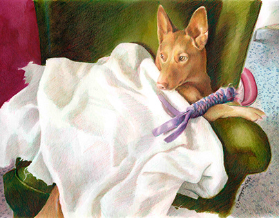 Hound dog realistic portrait drawing