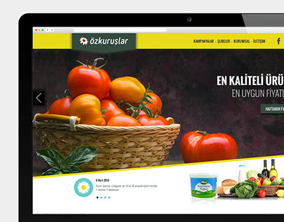 Özkuruşlar - Responsive Web Design - UX / UI
