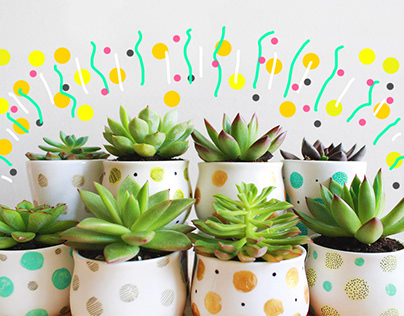 PETIPOTS: branding and creative content