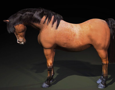 Horse (Rigging&Animation)