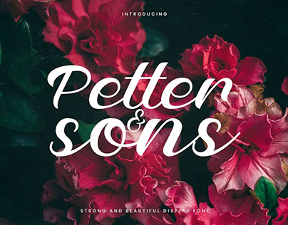 FREE Petter And Sons - Display Font
