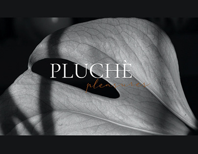 LOGOTYPE for Pluchè Pleasures