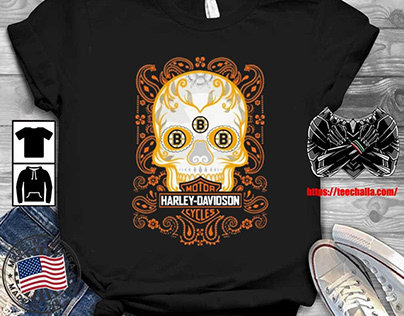 Original Skull Boston Bruins -Davidson Cycles Shirt