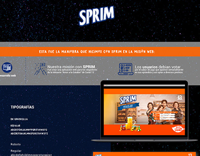 SPRIM Web development DST