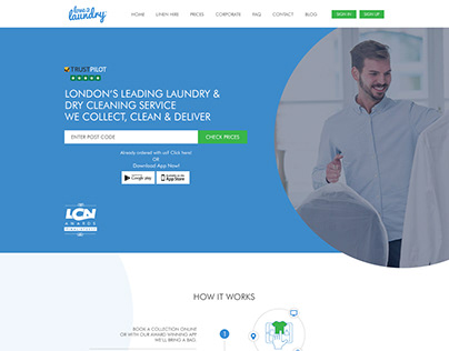Laundry Website Variations