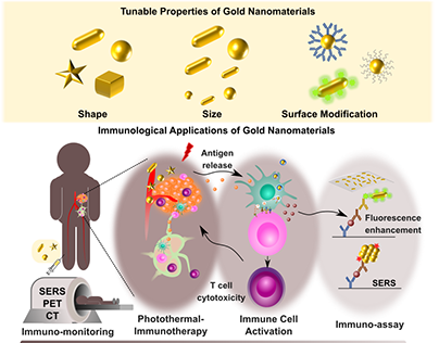 Gold Nanomaterials