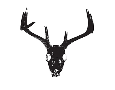 STAG Concept