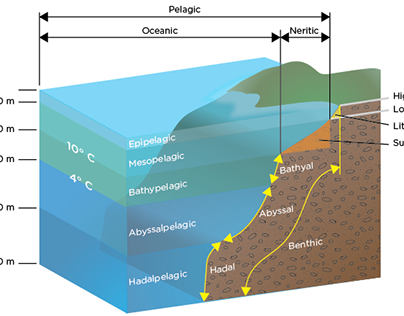 Earth Science Information Graphics
