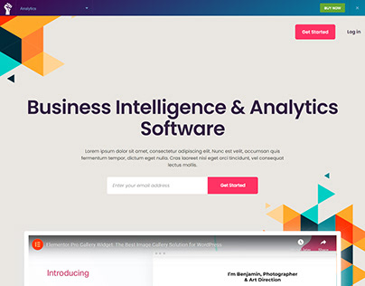 Business Analytic Website