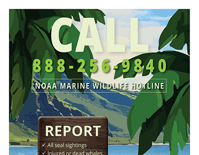 NOAA Marine Wildlife Hotline Poster