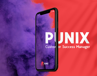 PUNIX | Costumer Success Manager
