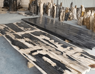 Rectangular Petrified Wood Slab Table Top