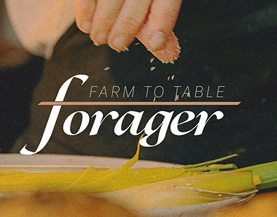 Forager Brand Identity and Web