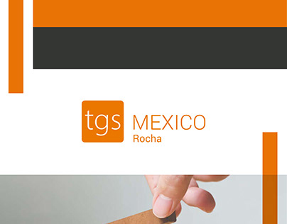 Ebook TGS México