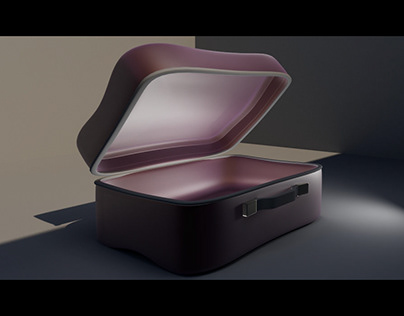 3D suitcase animation and shots