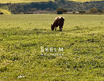 Skelm Wallpapers Release #14
