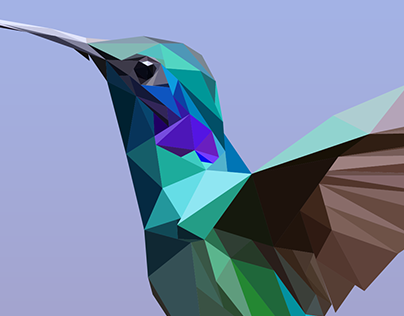 Hummingbird - Illustration