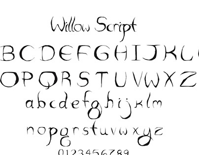 Willow Script Typeface Design