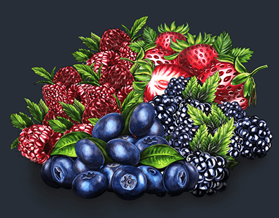 Berries - illustrations