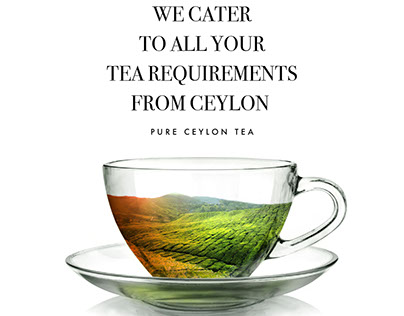 Tea4you foreign magazine ads