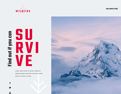 Wildfire | Landing Page Design