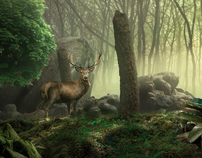 Concept Art -Deer in Forest
