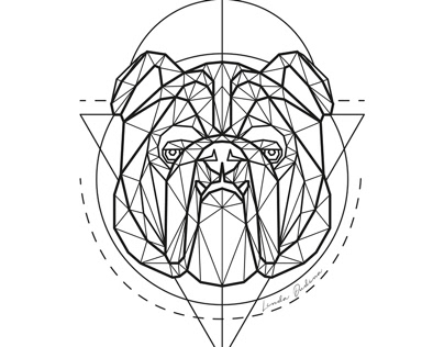 Geometric Logo Collection