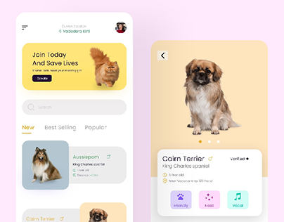 Dog Adoption App UI Design