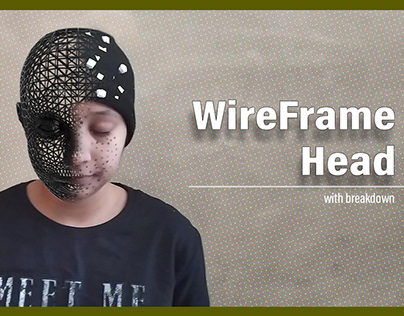 Wireframe Head