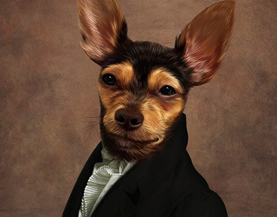 Daily Pet portrait painting-Chihuahua 2020-5-1