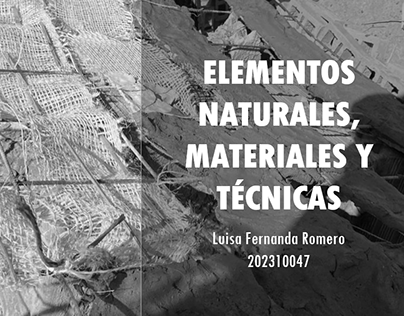 02 Elementos naturales, materiales y técnicas