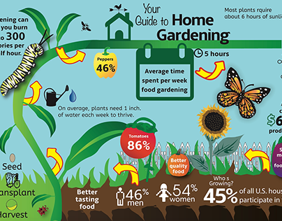 Home Gardening Infographic Design