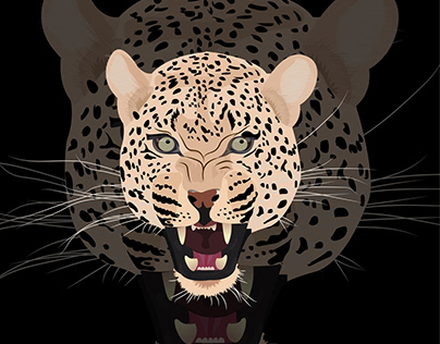 jaguar illustration