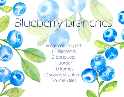Blueberries, watercolor clipart