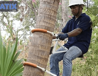 Coconut Tree Climber Tool