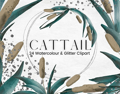 Watercolour Cattail Clipart