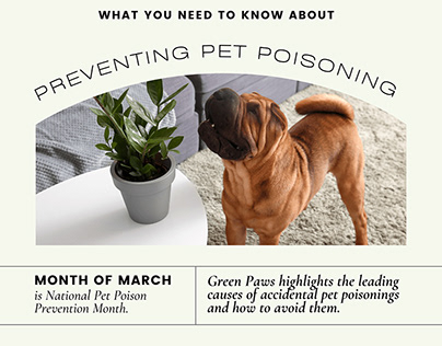 Preventing Pet Poisoning