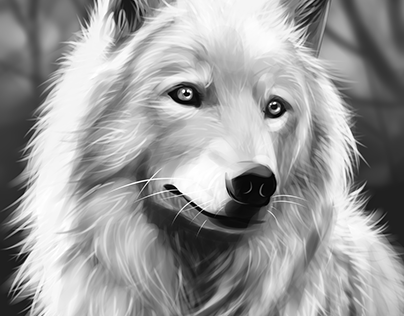 Wolf digital art portrait