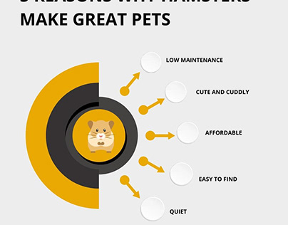 5 Reasons Why Hamsters Make Great Pets