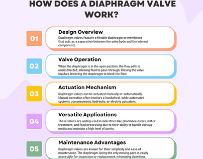 How does a Diaphragm Valve Works?