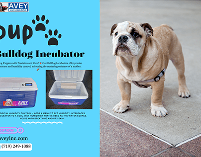puppy incubator with oxygen for sale